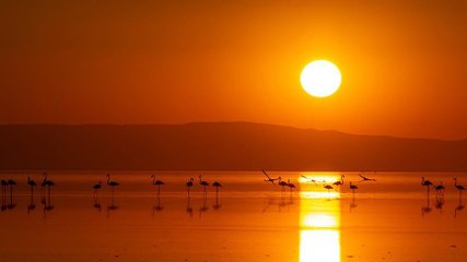 Flamingo cennetinde büyüleyen manzara