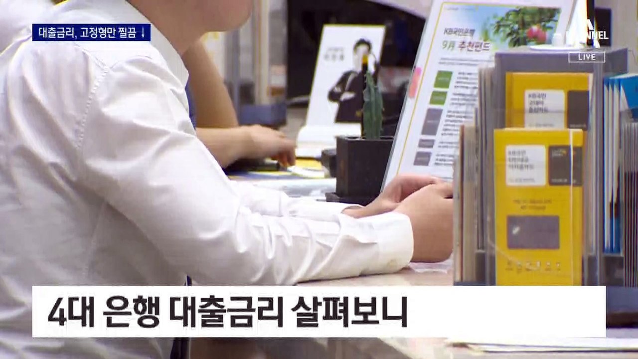 4대 은행 대출금리 살펴보니…덜 찾는 ‘고정형’만 찔끔 낮춰