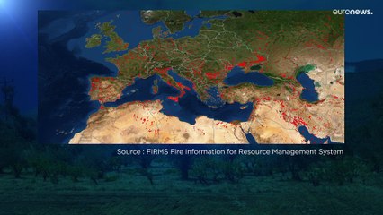 Fiamme nelle campagne dell'Europa sud-occidentale con la complicità di temperature record