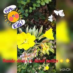 Rando douce lundi 18 juillet avec chantal