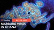 Ghana confirms its first outbreak of highly infectious Marburg virus