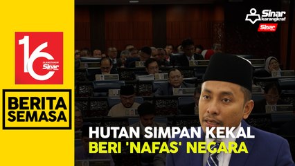 "Negeri diserang pembalakan kekal jadi paru-paru negara"