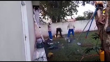 Defesa Civil realiza retirada de abelhas em imóvel no São Cristóvão