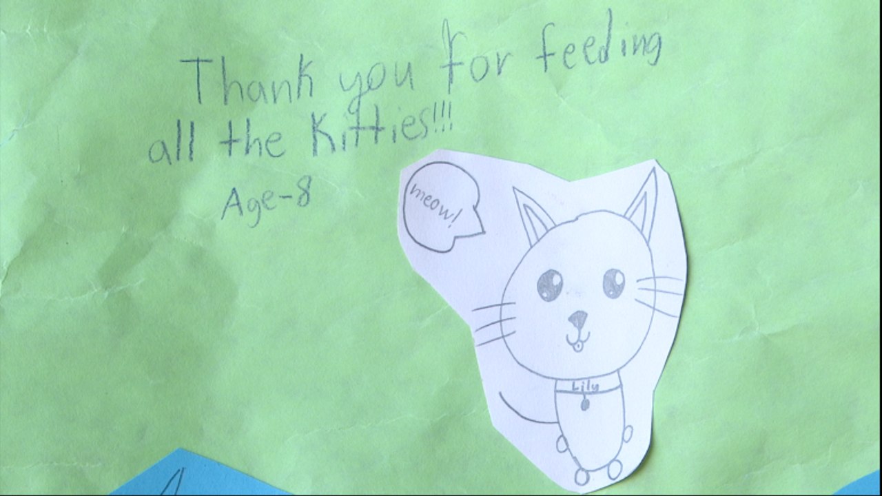 Inflation impacting our local pet food pantry