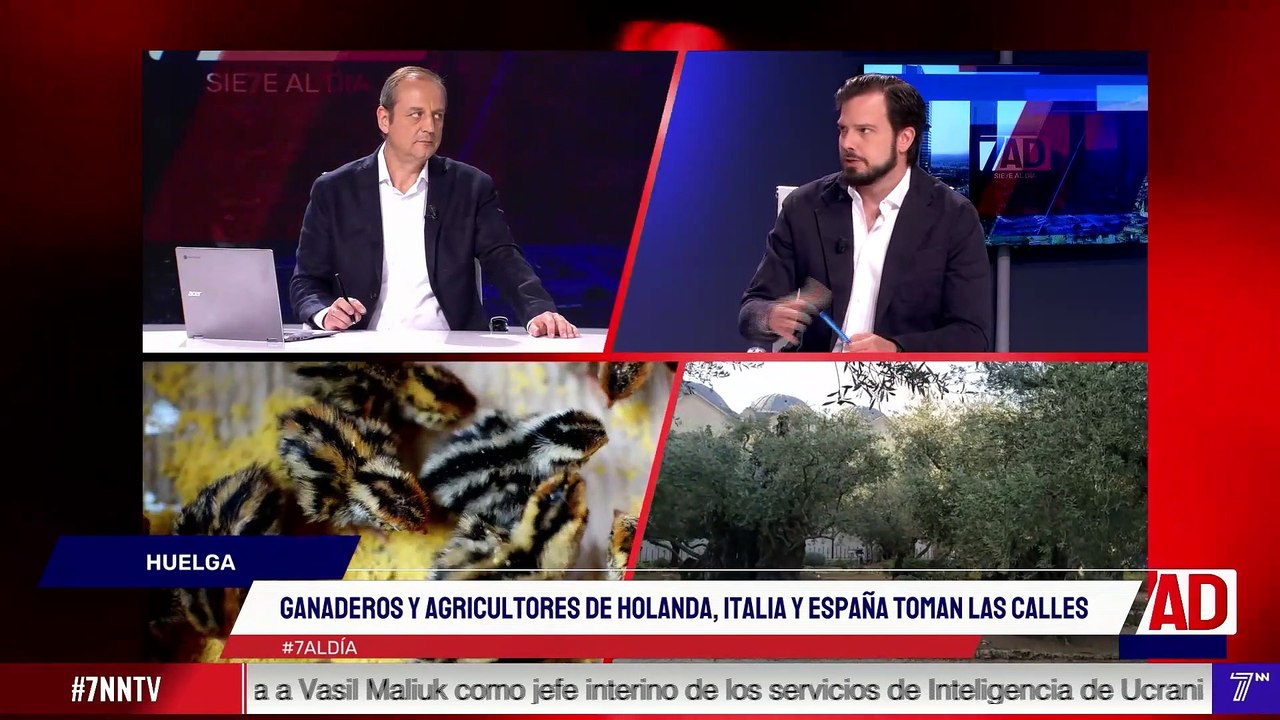 7 al Día - 18 de julio