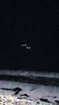 Captan extraña señal de una galaxia a miles de años de la luz de la Tierra