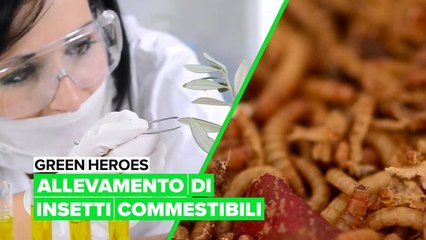 Un allevamento biologico a portata di mano