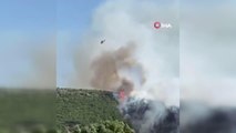 Söke'de orman yangını: Ekipler havadan ve karadan müdahale ediyor