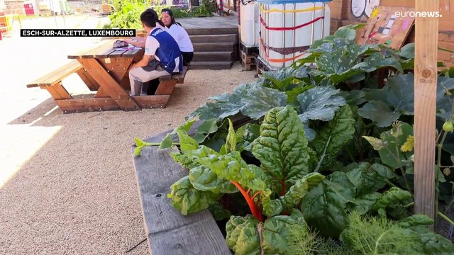 A Esch, au Luxembourg, des lieux culturels alternatifs dans d'anciens bâtiments industriels