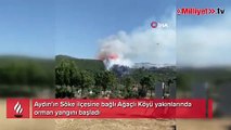 Söke'de orman yangını: Ekipler havadan ve karadan müdahale ediyor