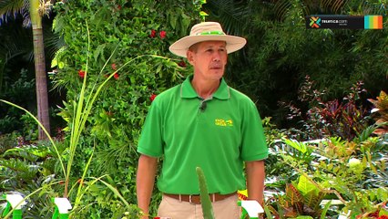 bd-publireportaje-evergreen-180722