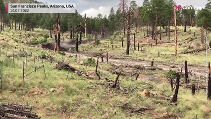 Flash flood gushes down Pipeline Fire burn scar in Arizona