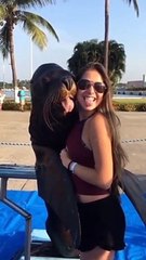 Wee～～ Funny Animals #short #tiktok #funny #animal