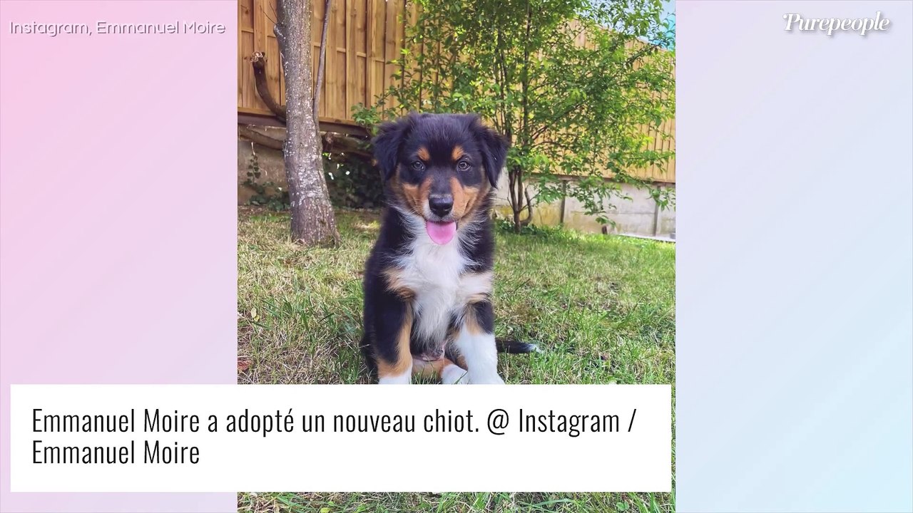 Emmanuel Moire : Six mois après le drame, il présente son nouvel ami... à poils !