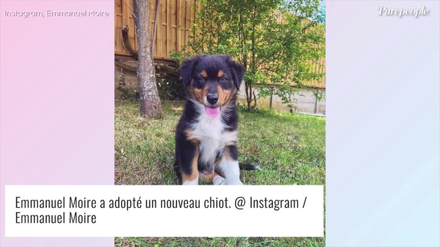 Emmanuel Moire : Six mois après le drame, il présente son nouvel ami... à poils !