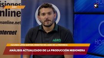 Análisis actualizado de la producción misionera