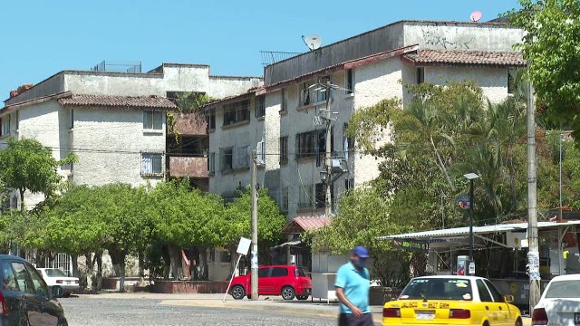 Celebra Vallarta Día del Árbol con reforestación | CPS Noticias Puerto Vallarta
