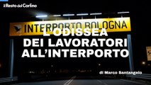 Gli schiavi della notte. Zero trasporti e sicurezza, così lavorano i fattorini