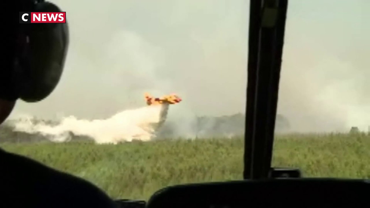 Incendies en Gironde : l’état des lieux des moyens aériens