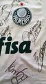 Associação de Amparo Animal de Altônia rifa camiseta autografada por jogadores do Palmeiras 1