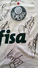 Associação de Amparo Animal de Altônia rifa camiseta autografada por jogadores do Palmeiras 1