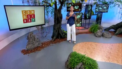 FÓSSEIS NA PATAGÔNIA CHILENA