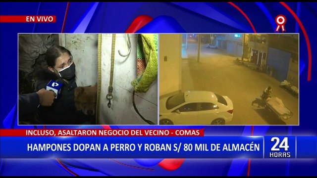 Comas: Delincuentes roban herramientas valorizadas en mas 80 mil soles