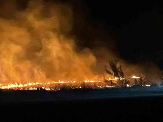 Son dakika haber: Leylek sürüsü anız yangını çıkarttı