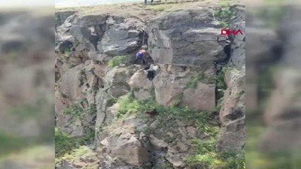 KAYALIKLARDA MAHSUR KALAN KEÇİLERİ AFAD KURTARDI