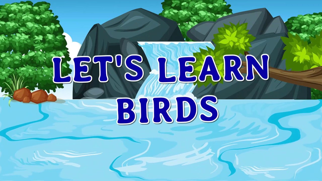 birds that you can teach your kids