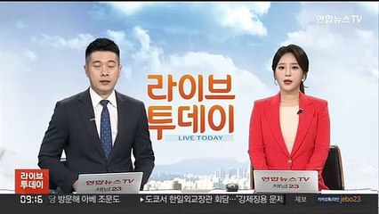 행안장관 "중대사안 경찰 수사지휘 당연히 해야"