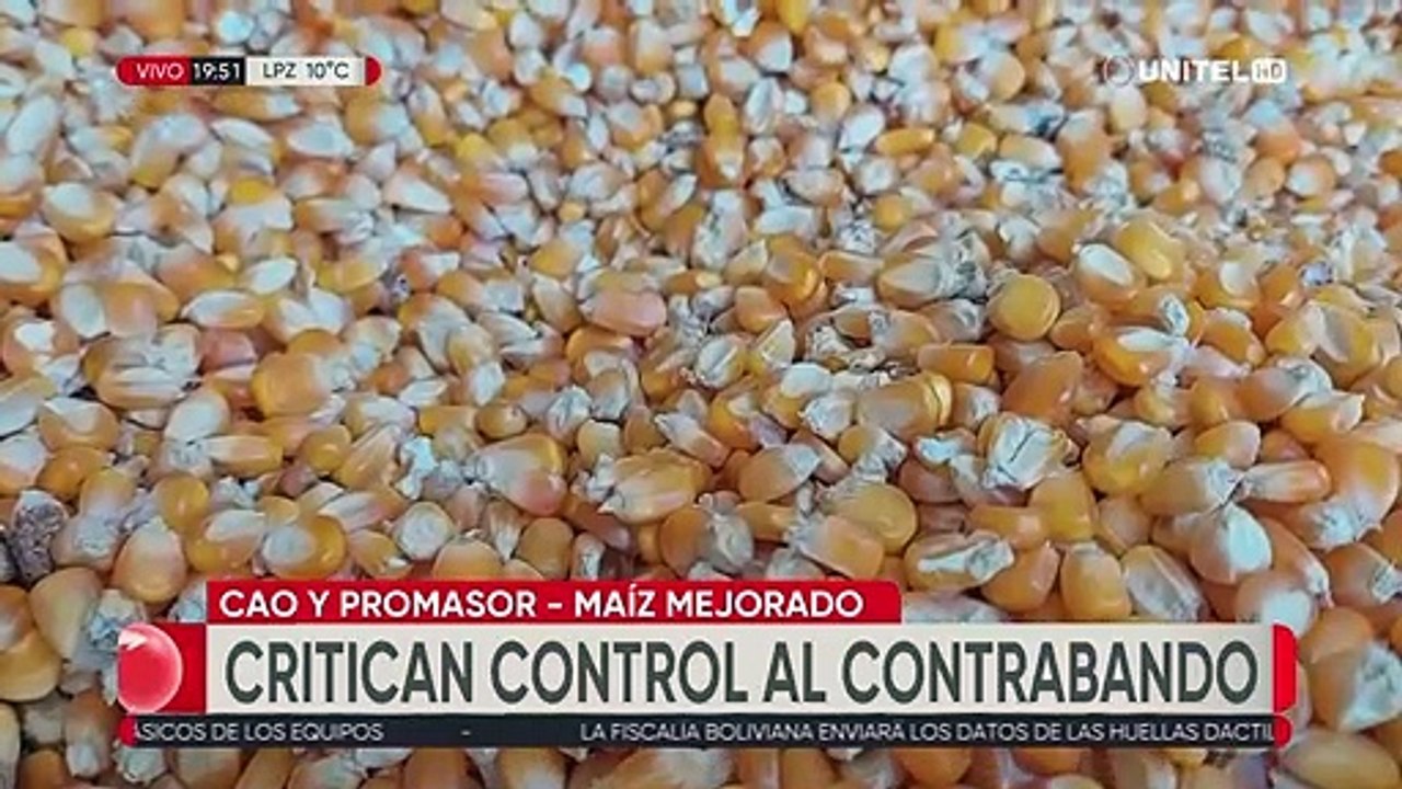 “Estamos invadidos con contrabando”, CAO y Promasur reclaman controles y acceso biotecnología