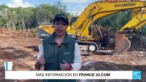 Greenpeace protesta en Riviera mexicana por obras de construcción de Tren Maya no autorizadas
