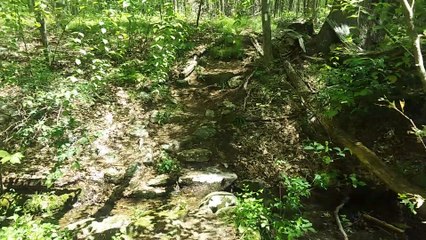 Appalachian Trail Hike with Camp Getaway Crew