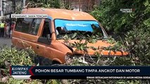 Pohon Besar Tumbang di Semarang Timpa Angkot dan Motor