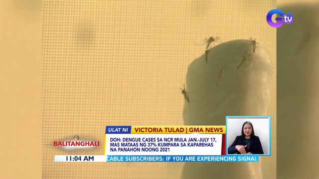 Dengue cases sa NCR mula Jan.-July 17, mas mataas ng 37% kumpara sa kaparehas na panahon noong 2021 | BT