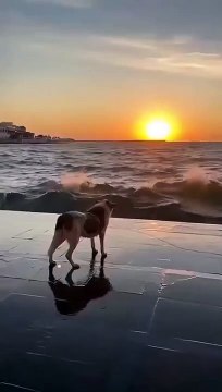 Η ανάρτηση του Δημήτρη Αλεξάνδρου μετά την αποκάλυψη για την εγκυμοσύνη της Ιωάννας