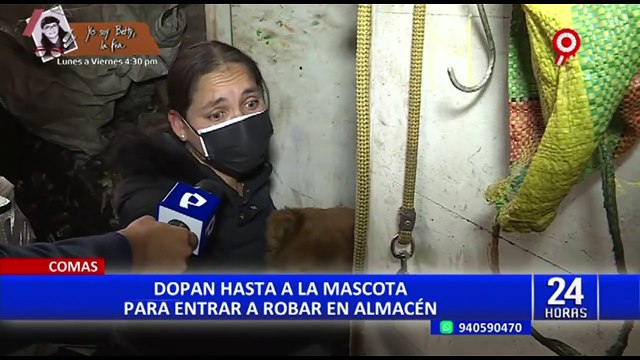 ¡Doparon hasta al perro! Delincuentes entran a local y roban S/ 80 000 en mercadería