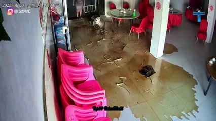 Most Ridiculous Moments Caught On Camera!