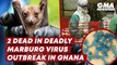2 dead in deadly Marburg virus outbreak in Ghana | GMA News Feed
