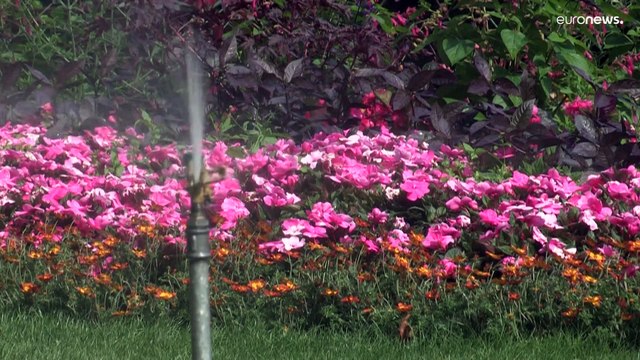 Afa e aria irrespirabile. Caldo record ancora per diversi giorni e allarme siccità