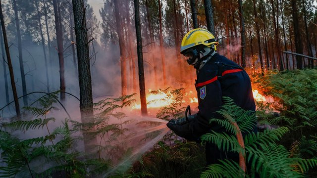 EN DIRECT | Incendies en Gironde : les autorités font le bilan de la nuit