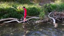 Six-year-old's litter picking bid at Derbyshire beauty spot