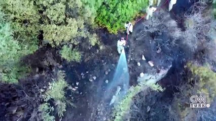 Çeşme'de otluk alanda yangın