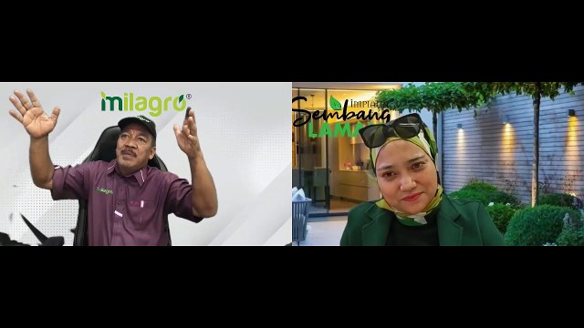 Baja Milagro Bukan BOOSTER Untuk Pokok Sahaja Tapi Baja Untuk Hati Pemilik Tanaman