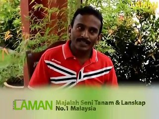 Cara Menyuburkan Tanaman Mengunakan Bahan Organik