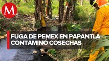 En Veracruz, derrame de hidrocarburos afectó a las cosechas de Papantla