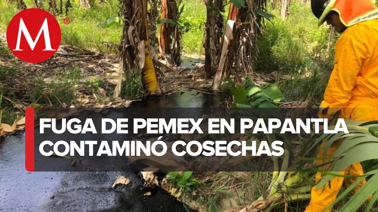 En Veracruz, derrame de hidrocarburos afectó a las cosechas de Papantla