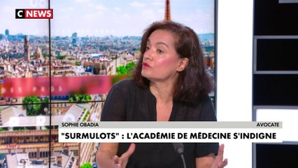 Sophie Obadia : «Ce qui n’est pas bon en détention ne peut pas être utile dans les rues de Paris»