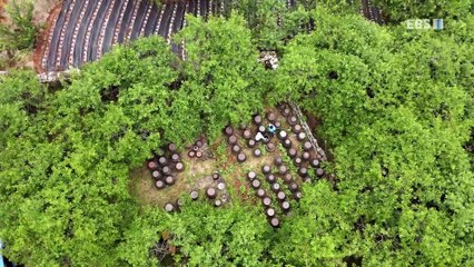 한국기행 - Korea travel_저 너머, 그곳에 가면 2부- 여름 보약, 엄마 밥_#001